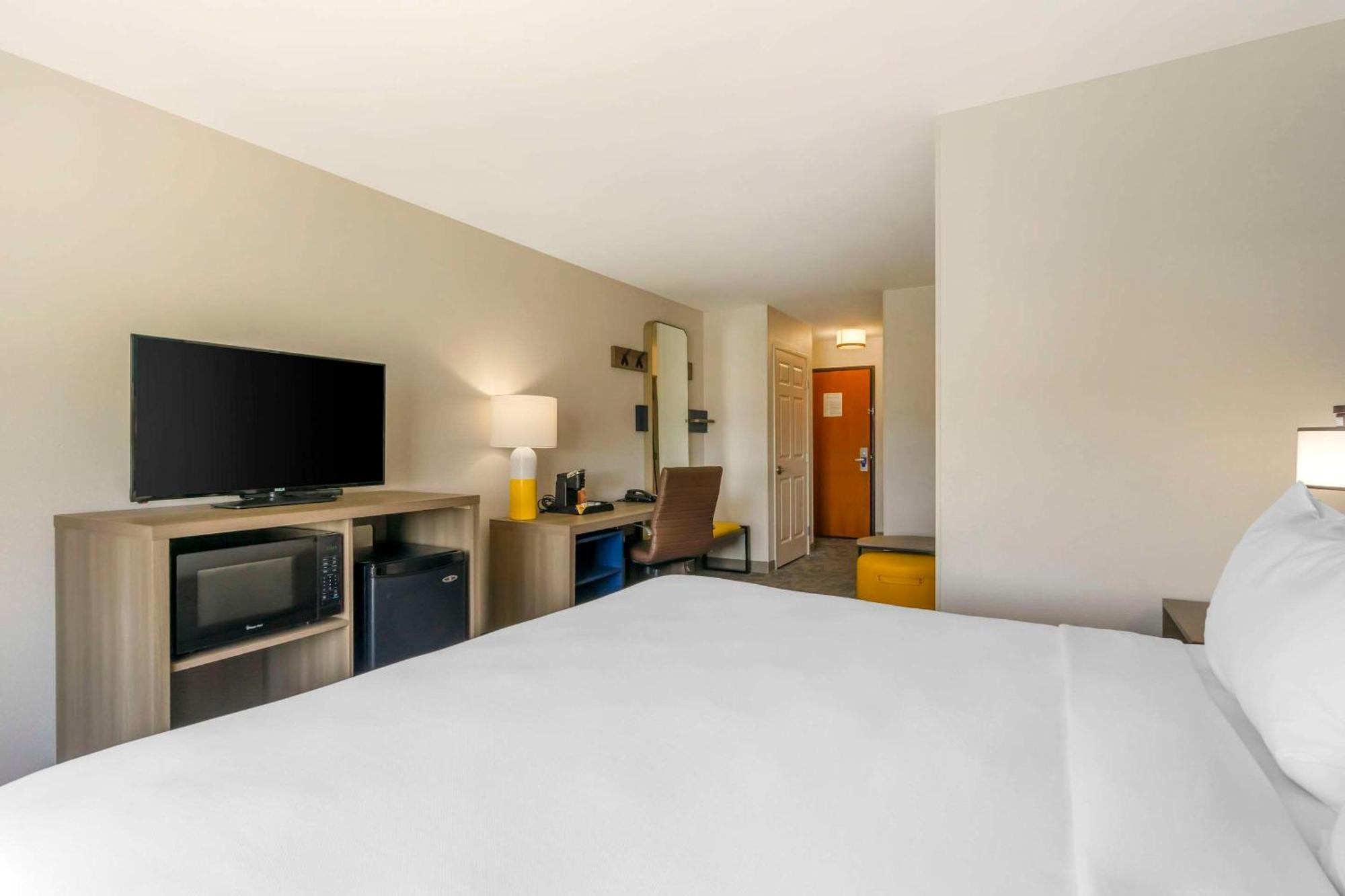 Comfort Suites Sarasota-Siesta Key Vamo Luaran gambar