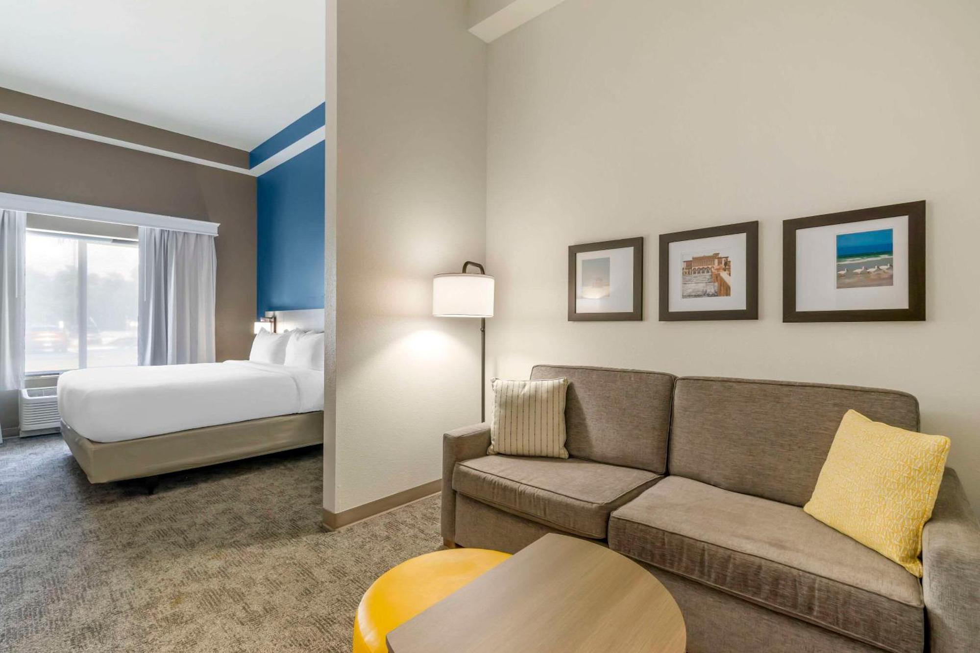Comfort Suites Sarasota-Siesta Key Vamo Luaran gambar
