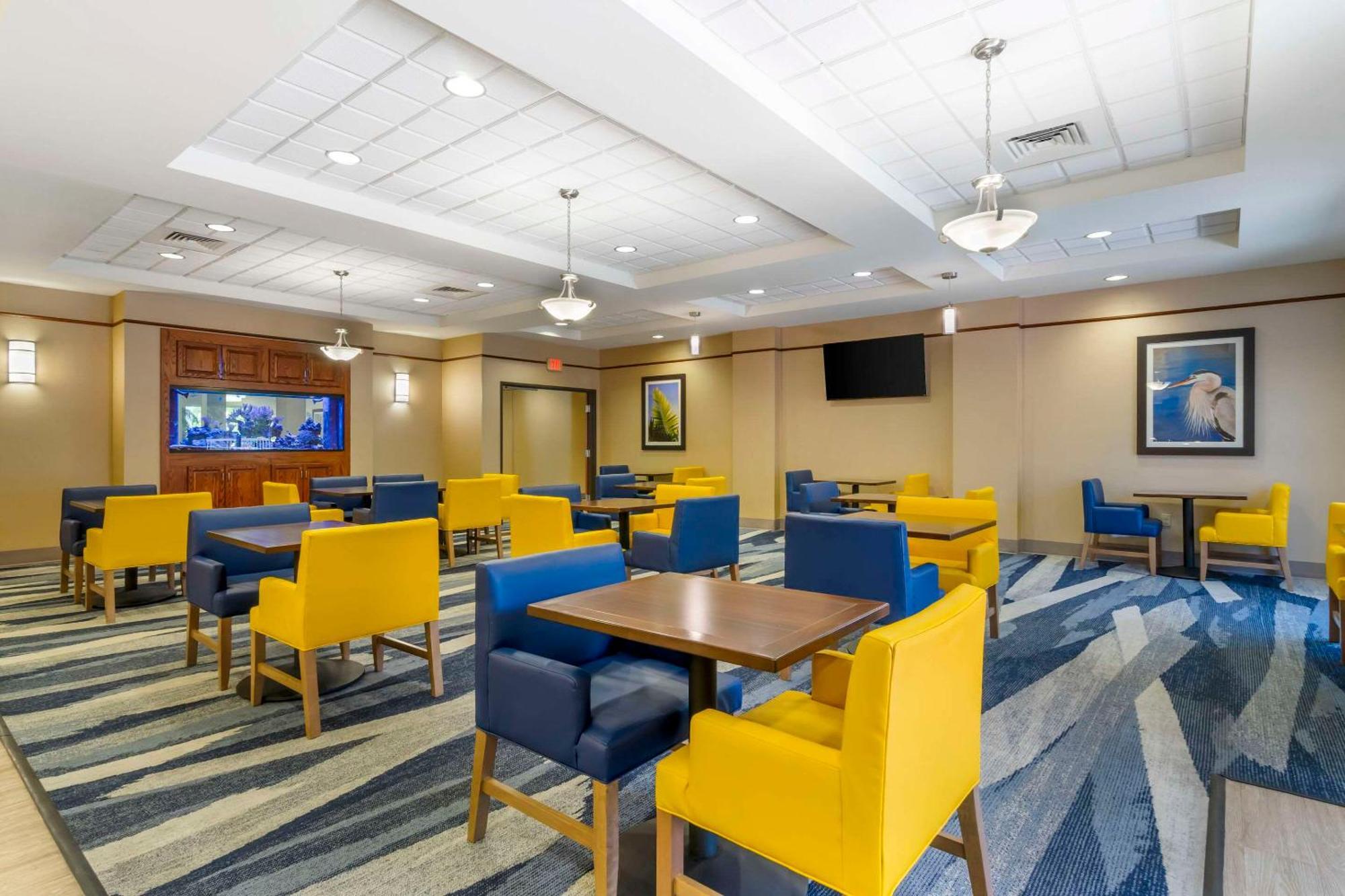 Comfort Suites Sarasota-Siesta Key Vamo Luaran gambar