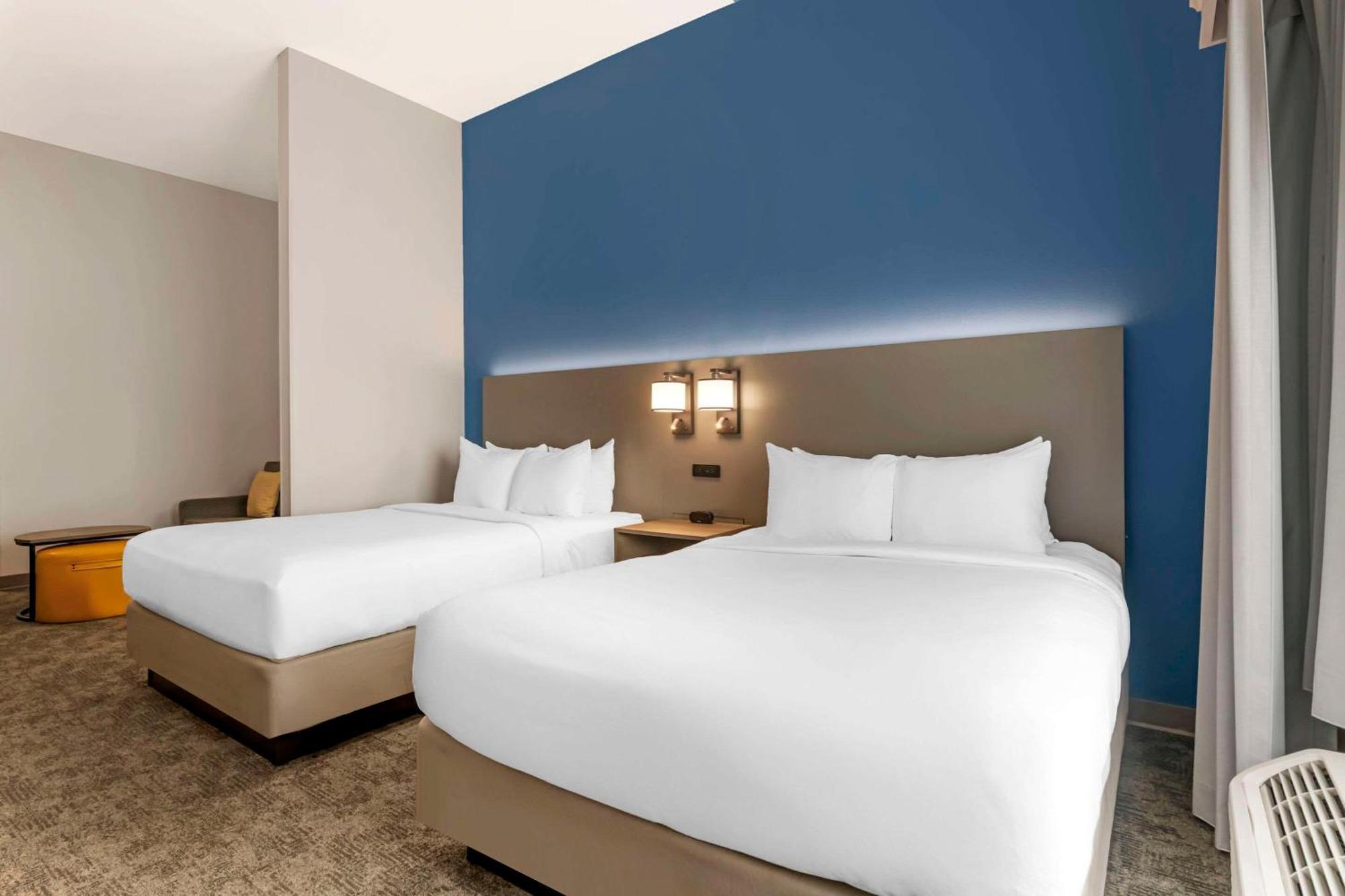 Comfort Suites Sarasota-Siesta Key Vamo Luaran gambar