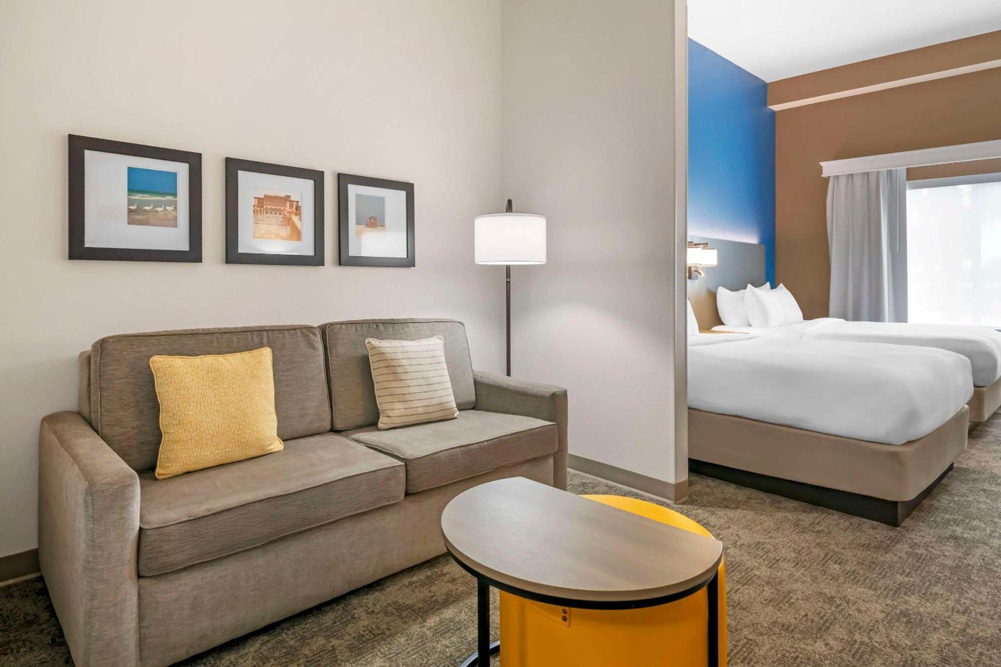 Comfort Suites Sarasota-Siesta Key Vamo Luaran gambar